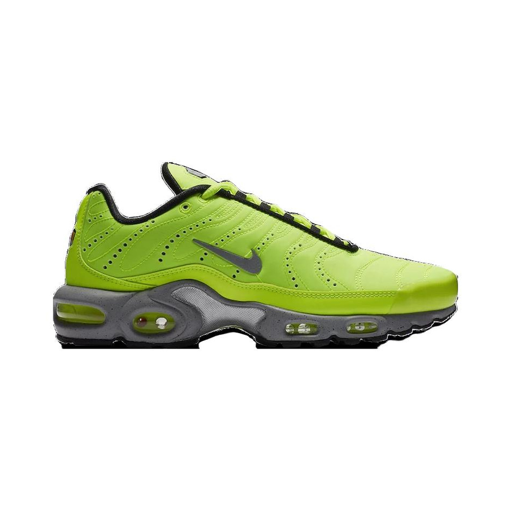 Nike Air Max Plus 'Sail / Pale Ivory / Silt Red' Мужские