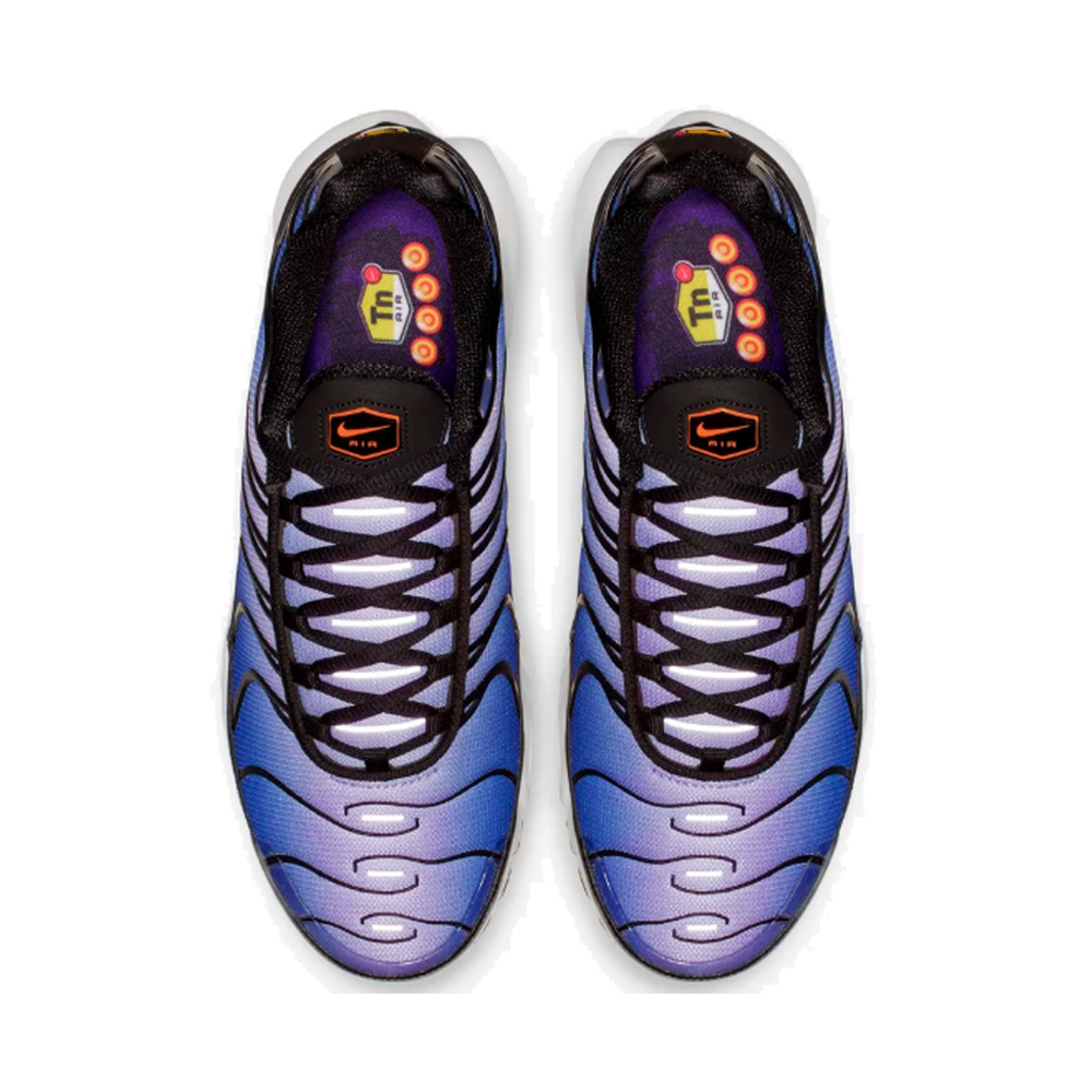 Nike Air Max Plus 'Black / Grey Fog' Мужские