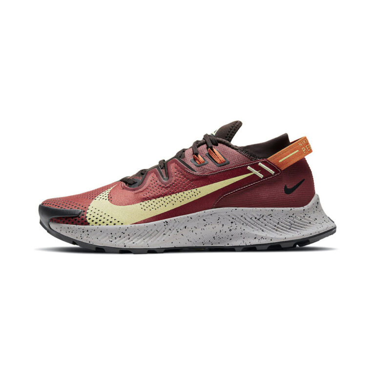 Nike Pegasus Trail 'Metallic Silver / Sail / Black / Metallic Silver' Мужские