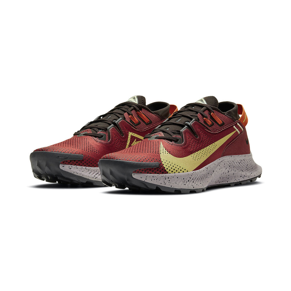 Nike Pegasus Trail 'Metallic Silver / Sail / Black / Metallic Silver' Мужские