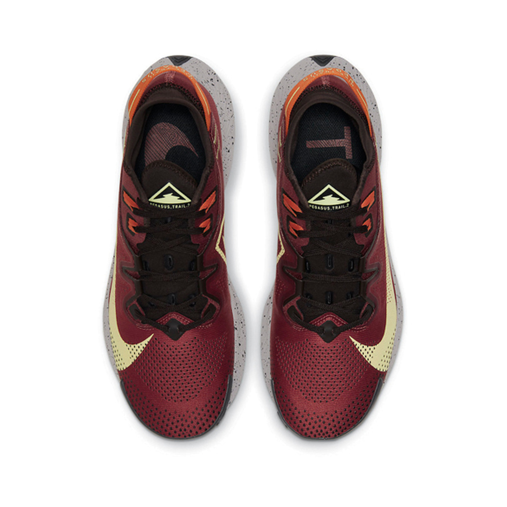 Nike Pegasus Trail 'Metallic Silver / Sail / Black / Metallic Silver' Мужские