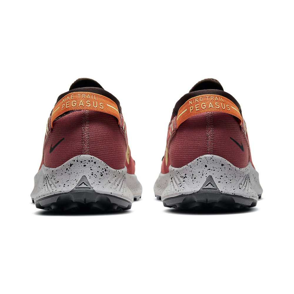 Nike Pegasus Trail 'Metallic Silver / Sail / Black / Metallic Silver' Мужские