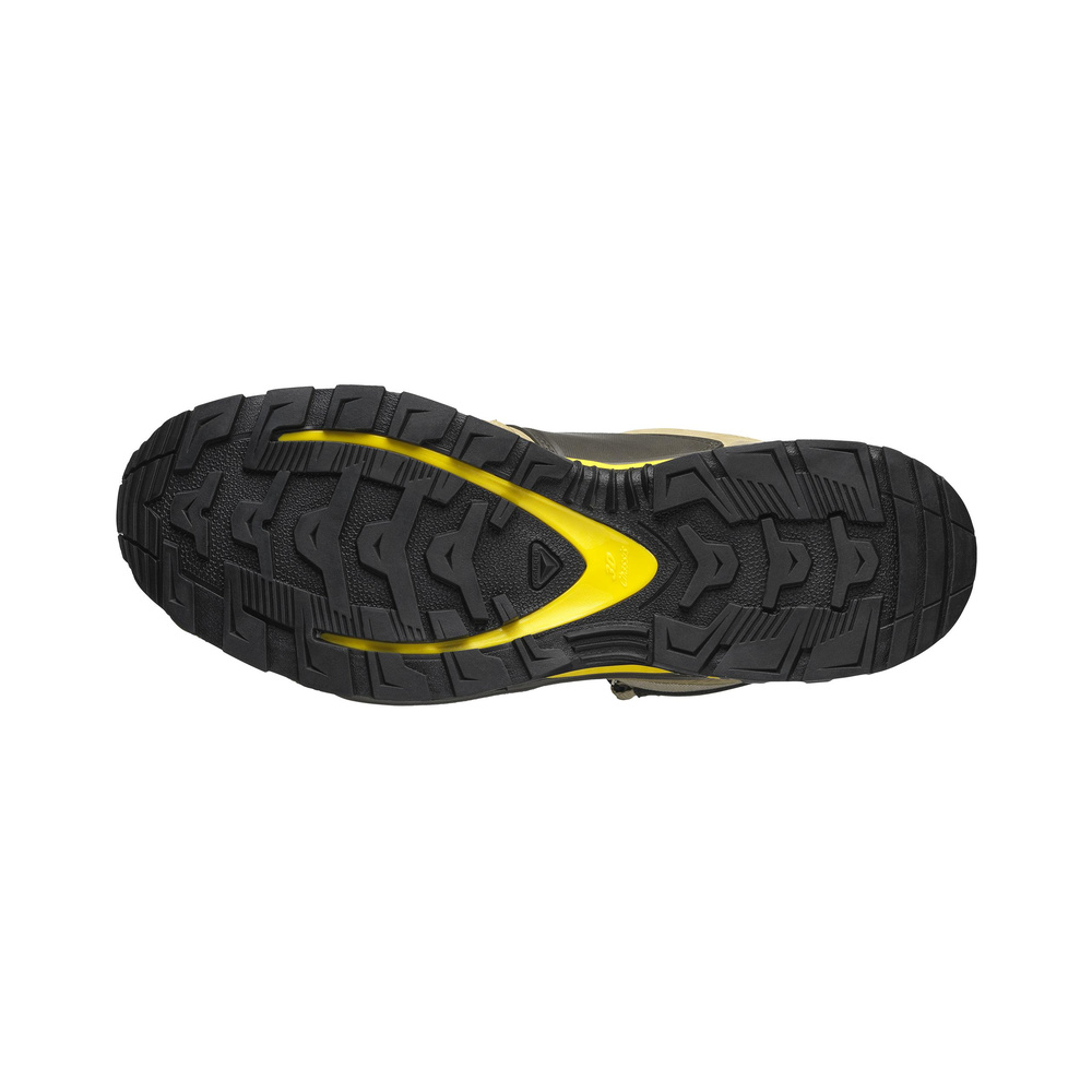 Salomon Xa Pro 3d 'Brown' Мужские