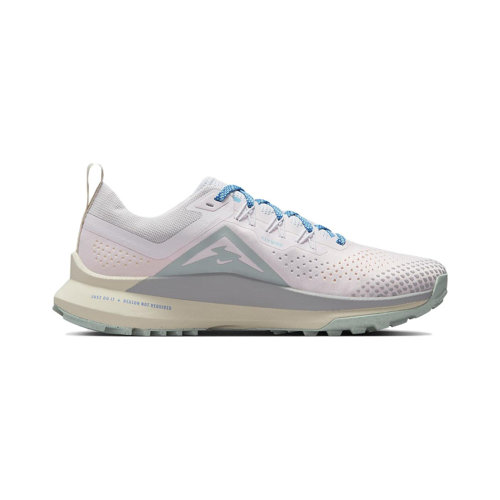 Nike Pegasus Trail 'Metallic Silver / Wolf Grey / Anthracite / Summit White' Женские
