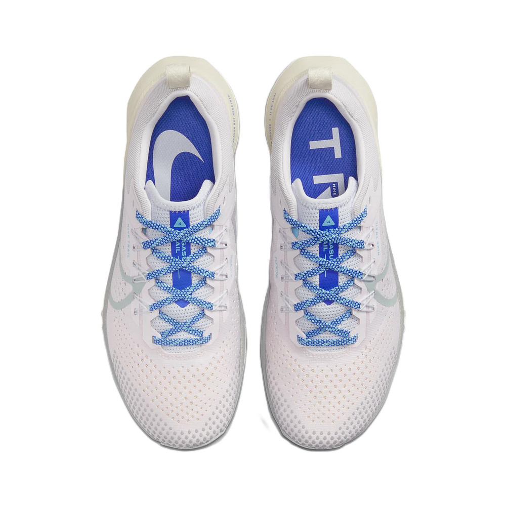 Nike Pegasus Trail 'Metallic Silver / Wolf Grey / Anthracite / Summit White' Женские