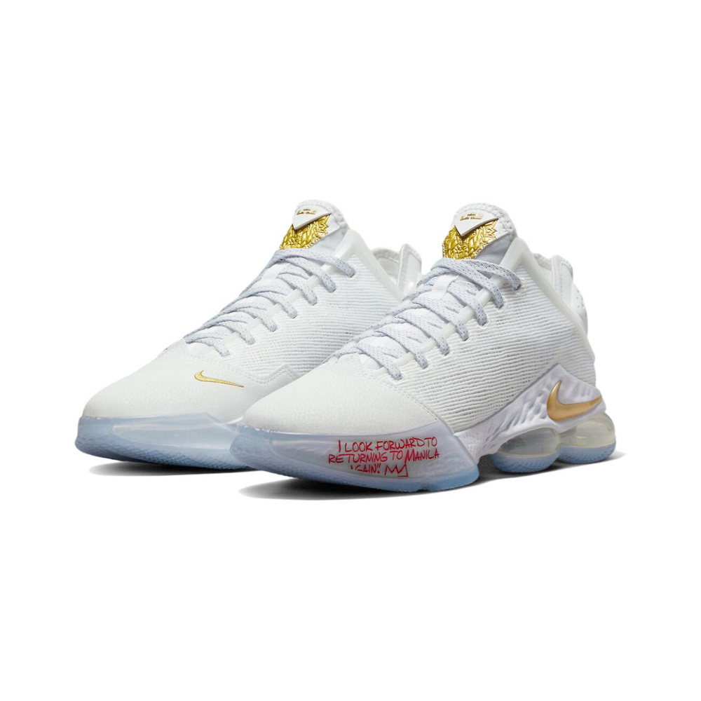 Nike Lebron 19 'White / Pure Platinum / Black' Мужские