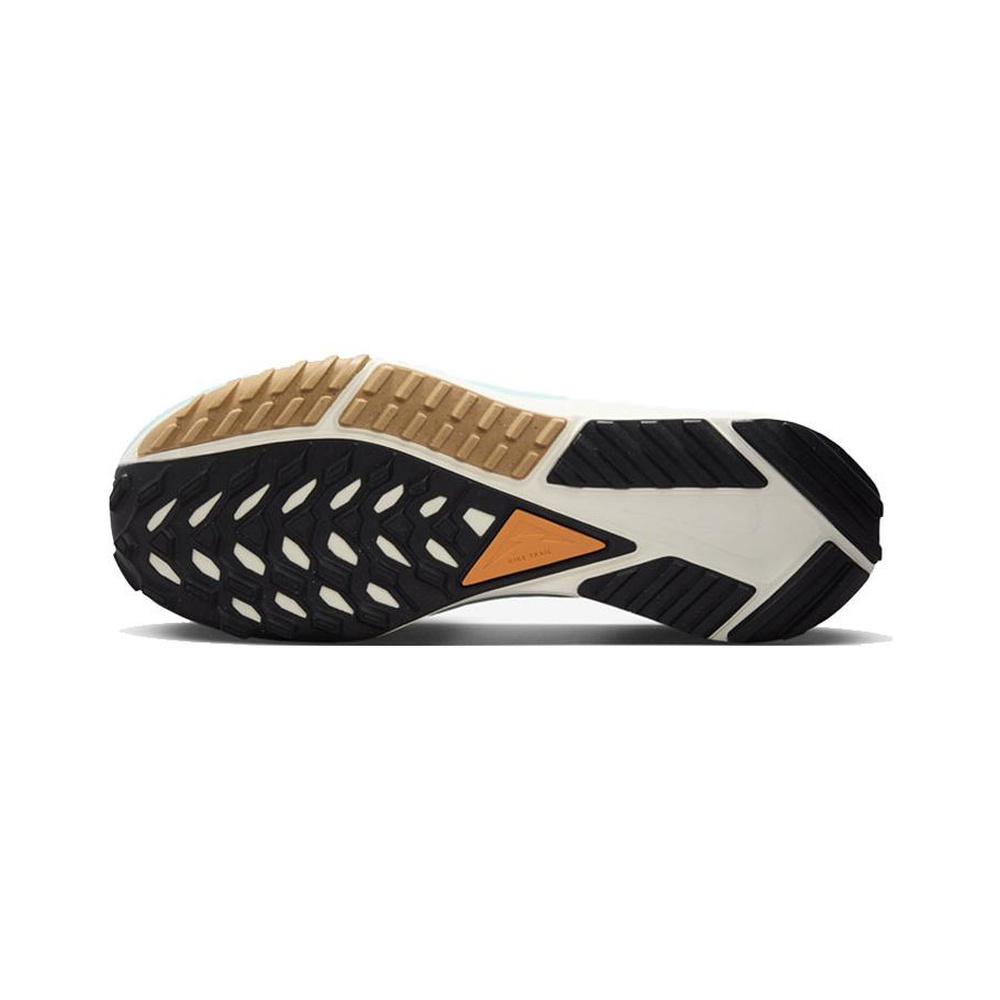 Nike Pegasus Trail 'Phantom / Pencil Point / Old Royal / Light Orewood Brown' Мужские