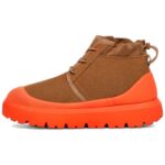 Chestnut / Orange