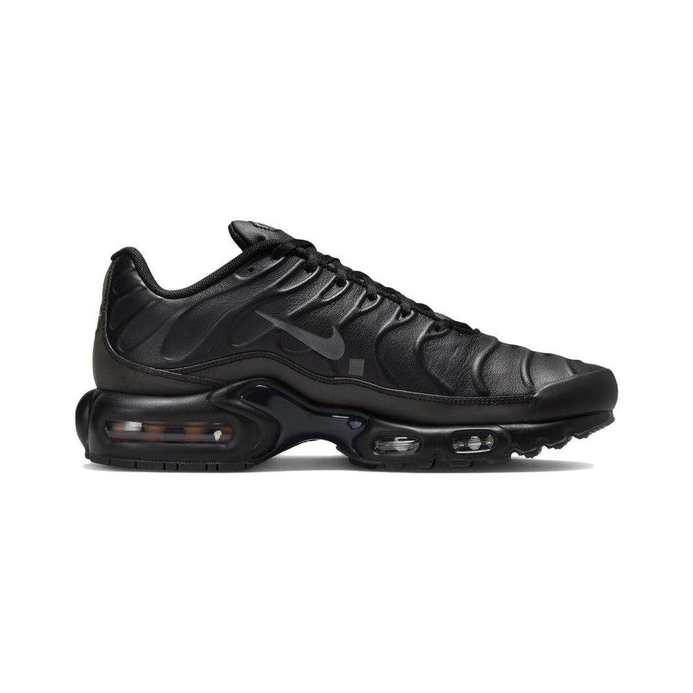 Nike Air Max Plus 'Black / Metallic Silver' Мужские