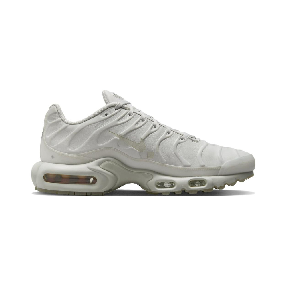 Nike Air Max Plus 'Black / Metallic Silver' Мужские