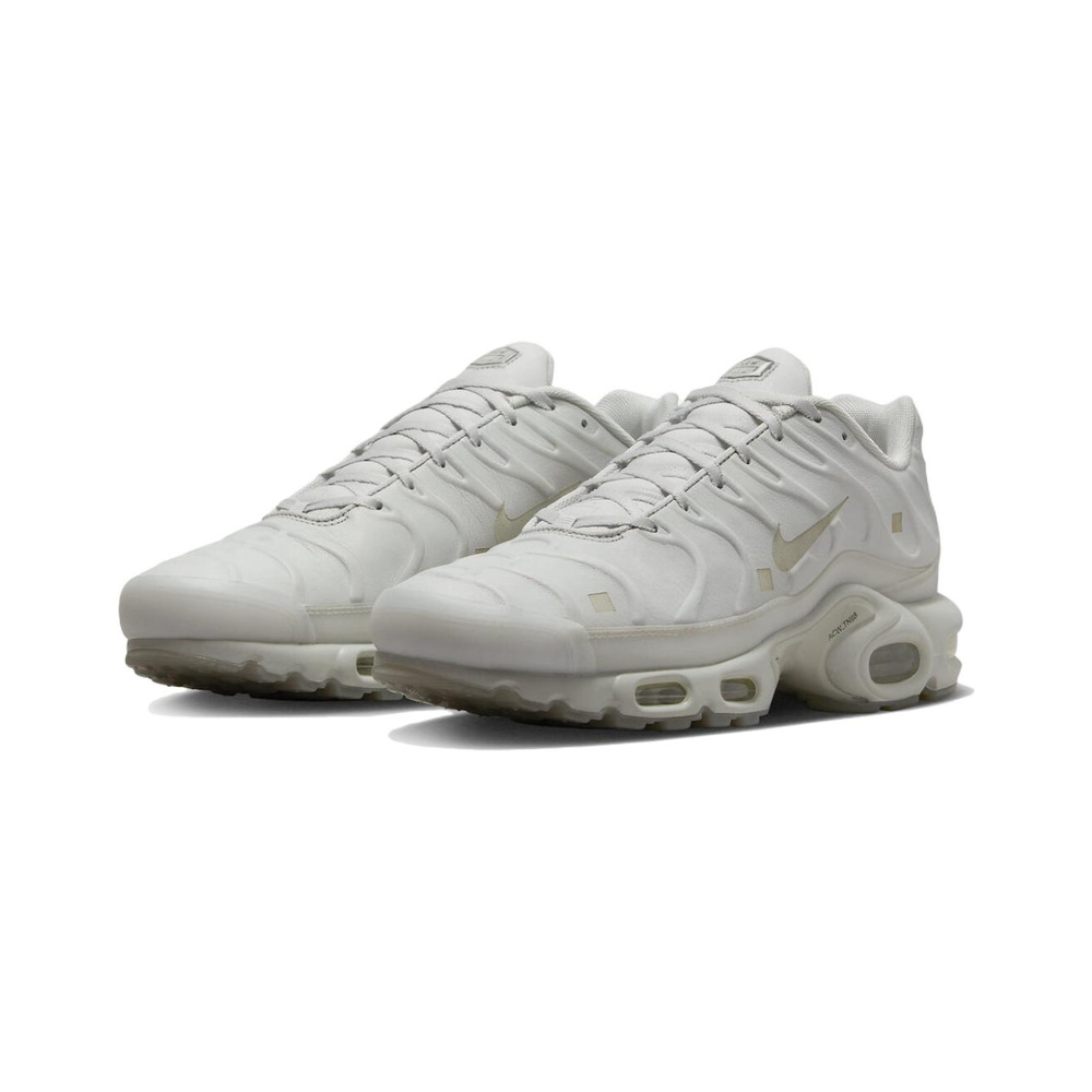 Nike Air Max Plus 'Black / Metallic Silver' Мужские