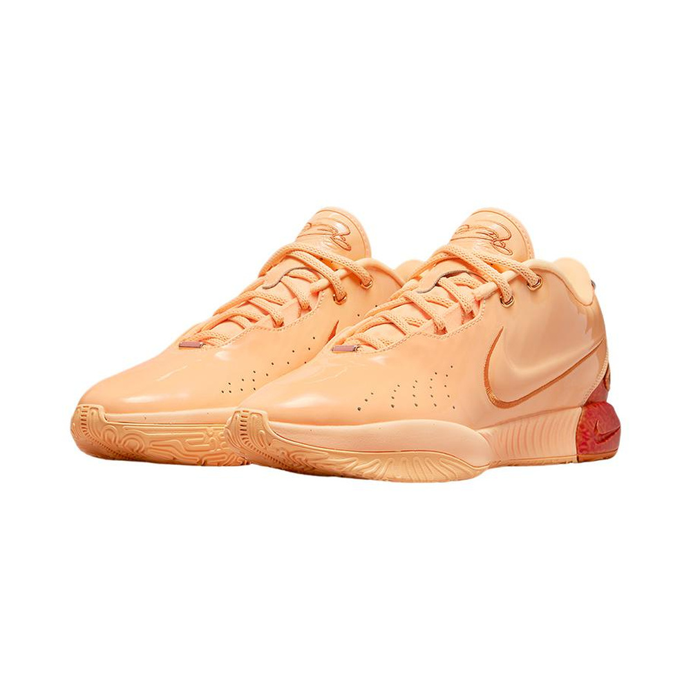 Nike Lebron 21 'Light Redwood / Bright Crimson / Atomic Pink / Barely Green' Мужские
