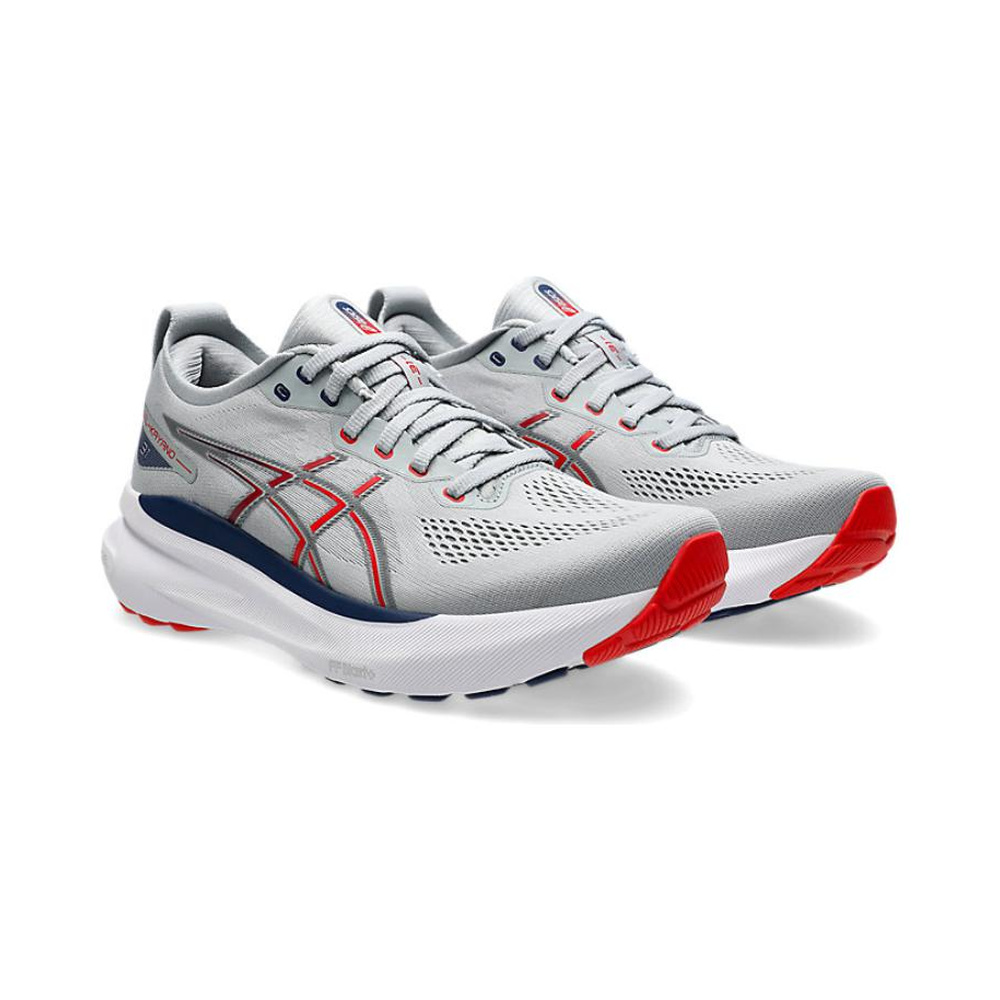 ASICS Gel-Kayano 31 'Grey Red' Мужские