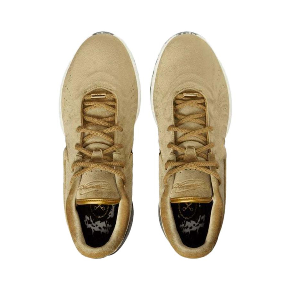 Nike Lebron TR 1 'Peony / Black / Gum Light Brown / Sail' Мужские