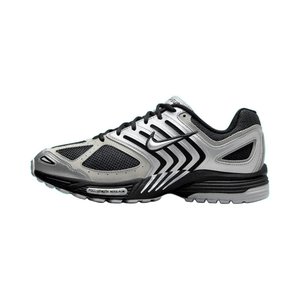 Nike Air Pegasus 2k5