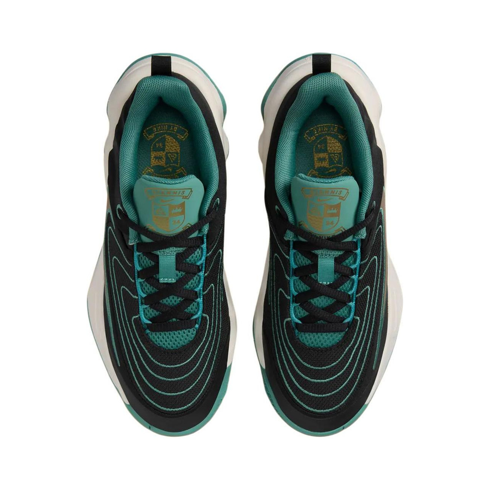 Nike Giannis Immortality 4 'Black / Bicoastal / Pale Ivory / Metallic Gold' Мужские