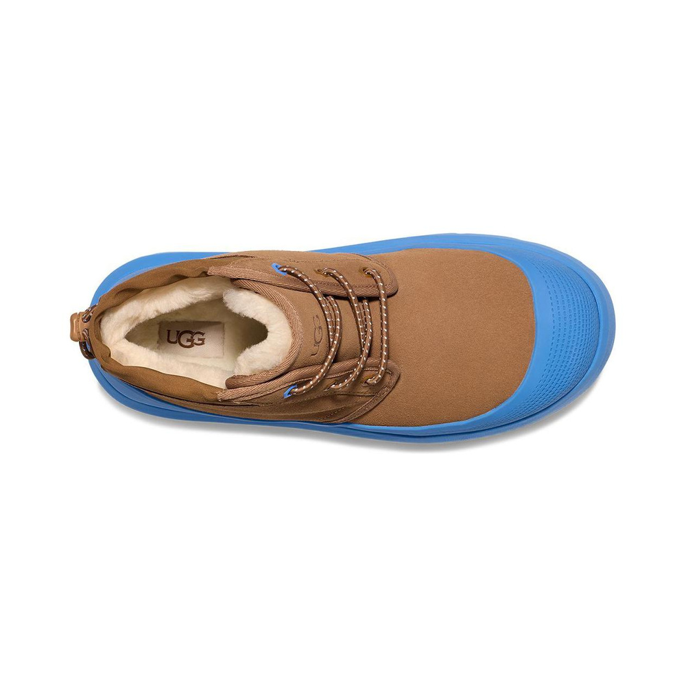 UGG Neumel 'Blue Brown' Мужские