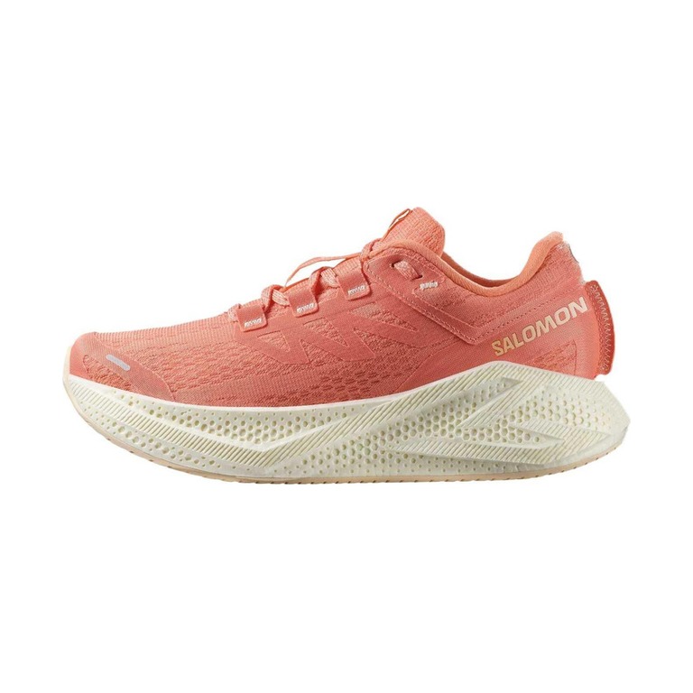 Salomon Aero Glide 3 'Pink' Женские