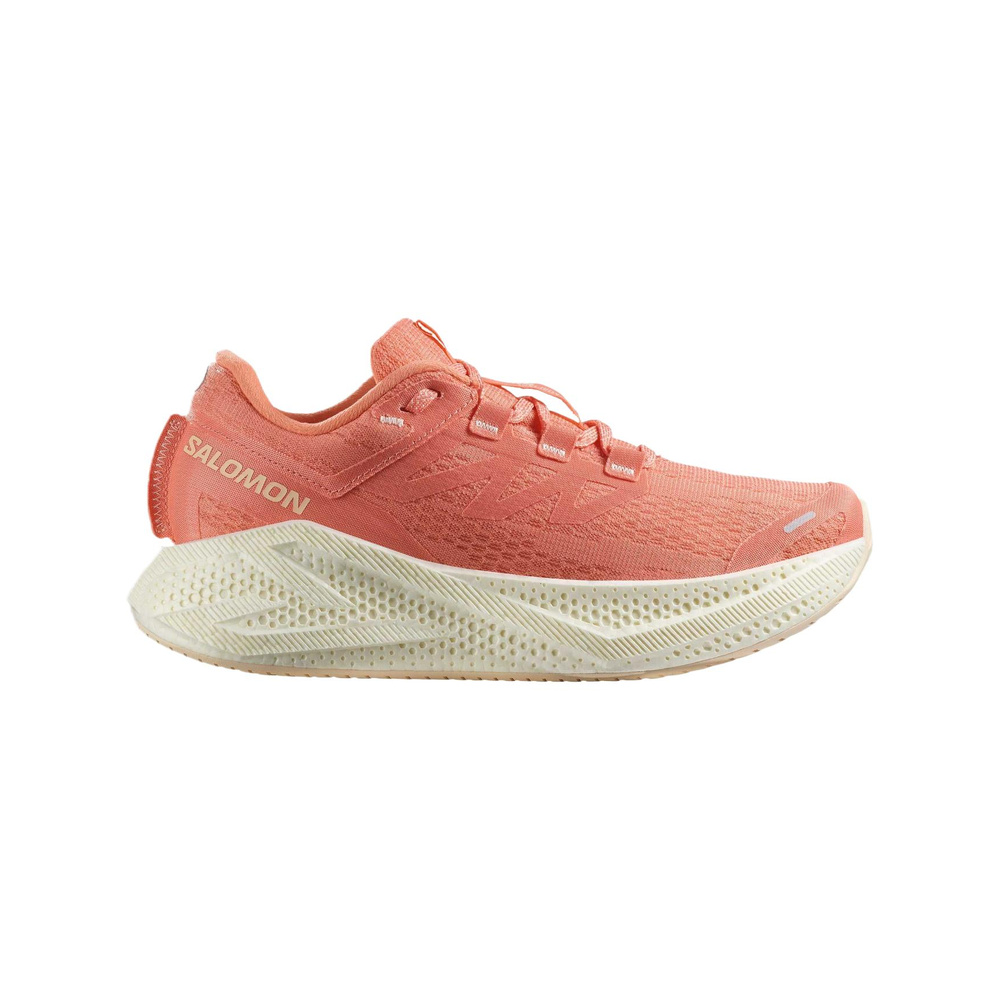 Salomon Aero Glide 3 'Pink' Женские