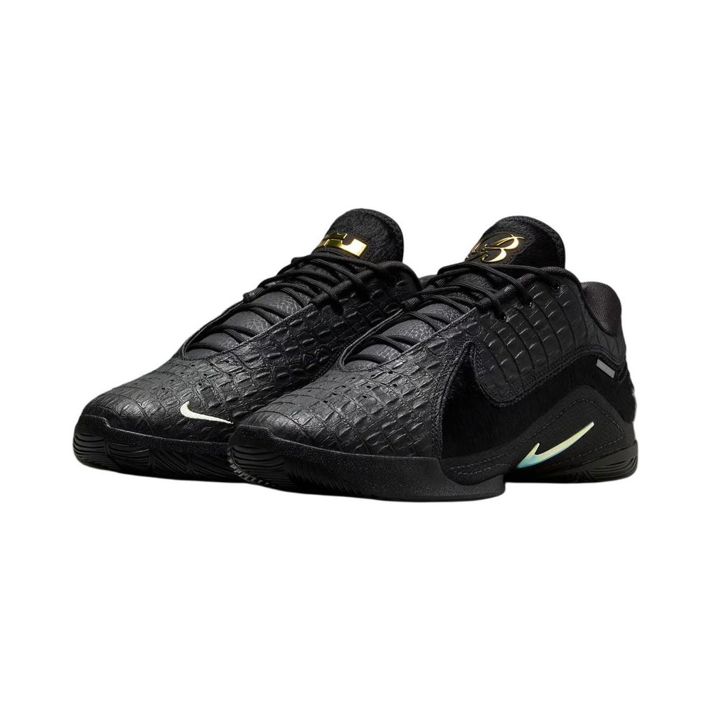 Nike LeBron 22 'Black / Black / Metallic Gold / Coconut Milk' Мужские