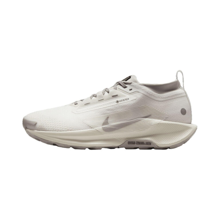 Nike Pegasus Trail 5 GTX 'White / Wolf Grey' Мужские