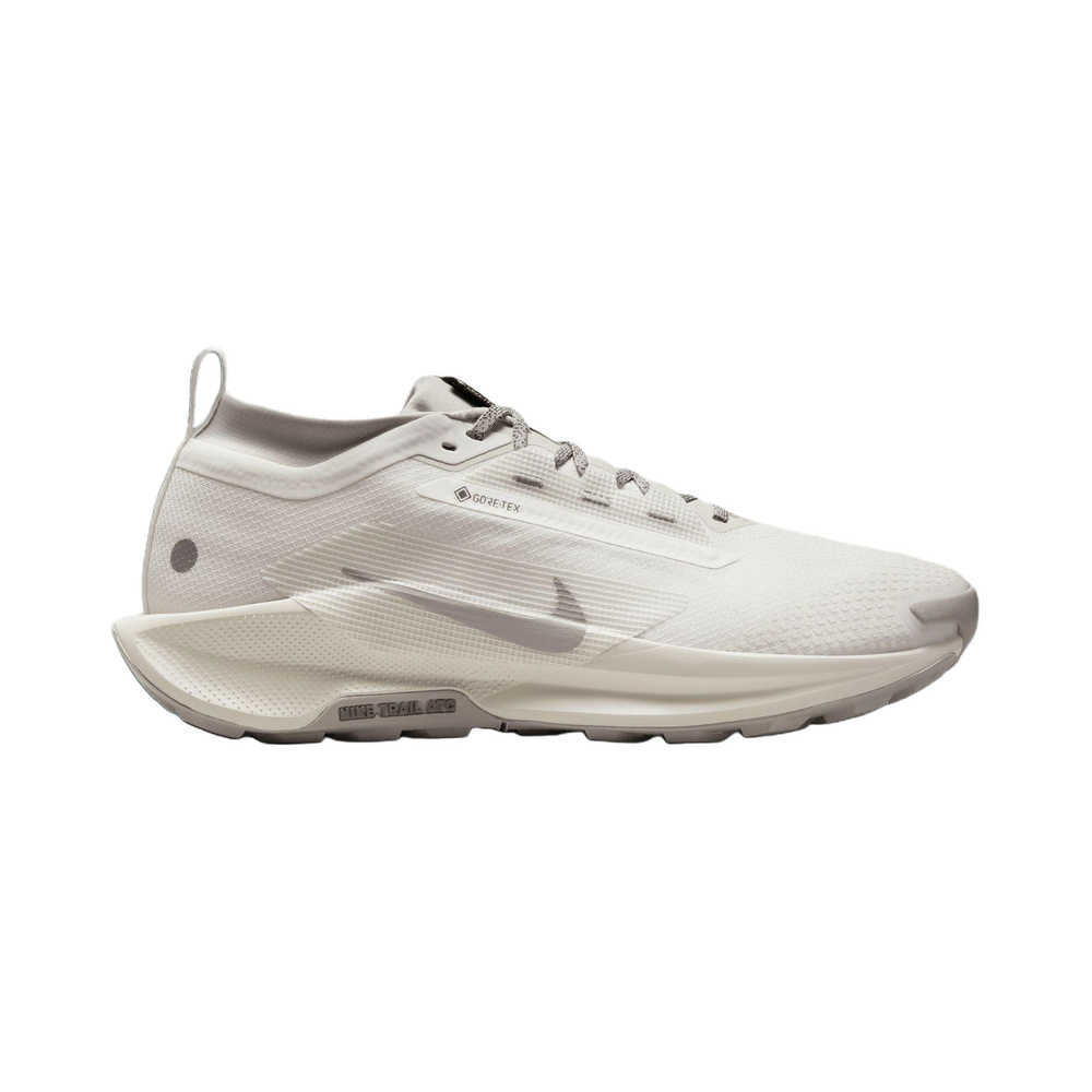 Nike Pegasus Trail 5 GTX 'White / Wolf Grey' Мужские