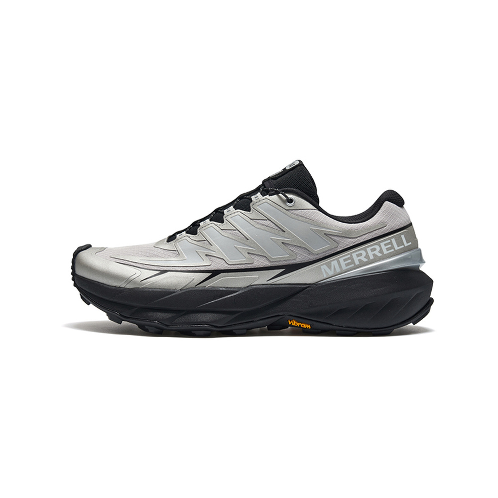 Grey Silver