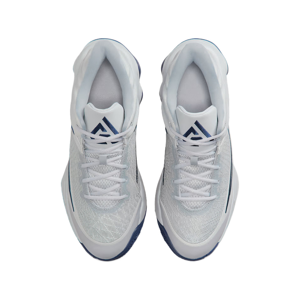 Nike Giannis Immortality 4 'Metallic Silver / Vast Grey / Black' Мужские