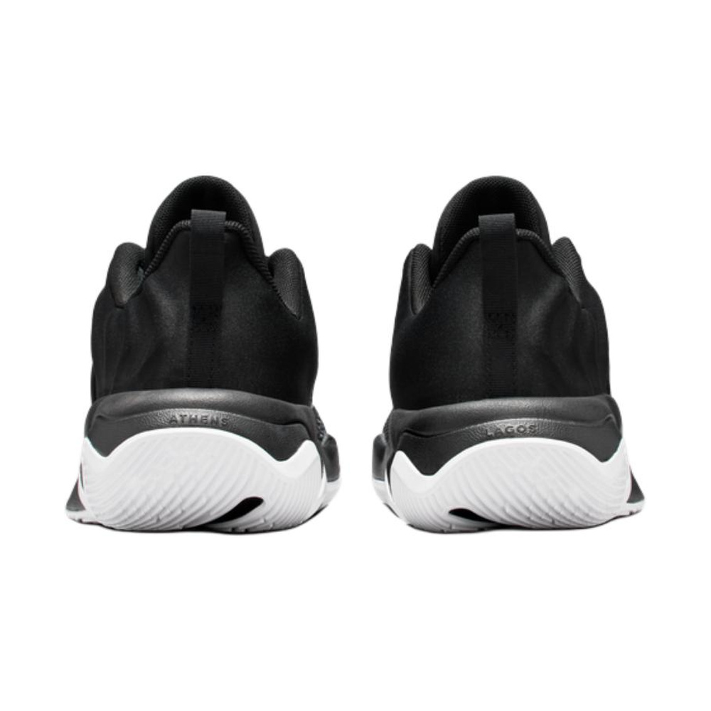 Nike Giannis Immortality 4 'Black / Wolf Grey / White' Мужские