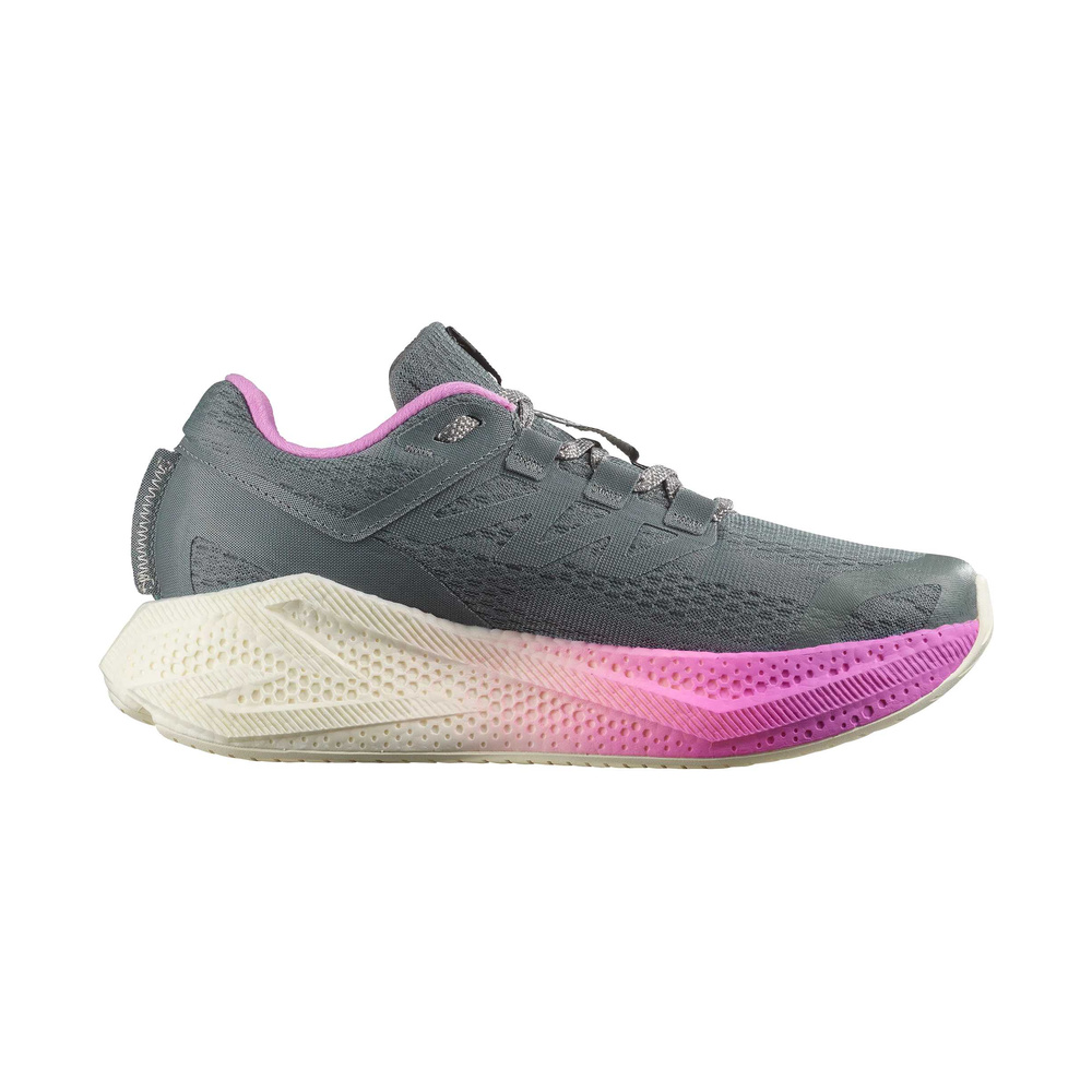 Salomon Aero Glide 3 'Grey / Beige / Pink' Женские
