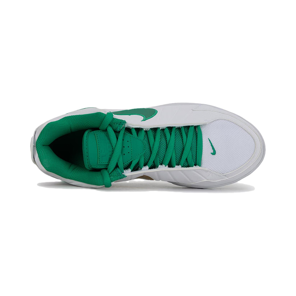 Nike Lebron Witness Ix 'Summit White / White / Pure Platinum / Cobalt Bliss' Мужские