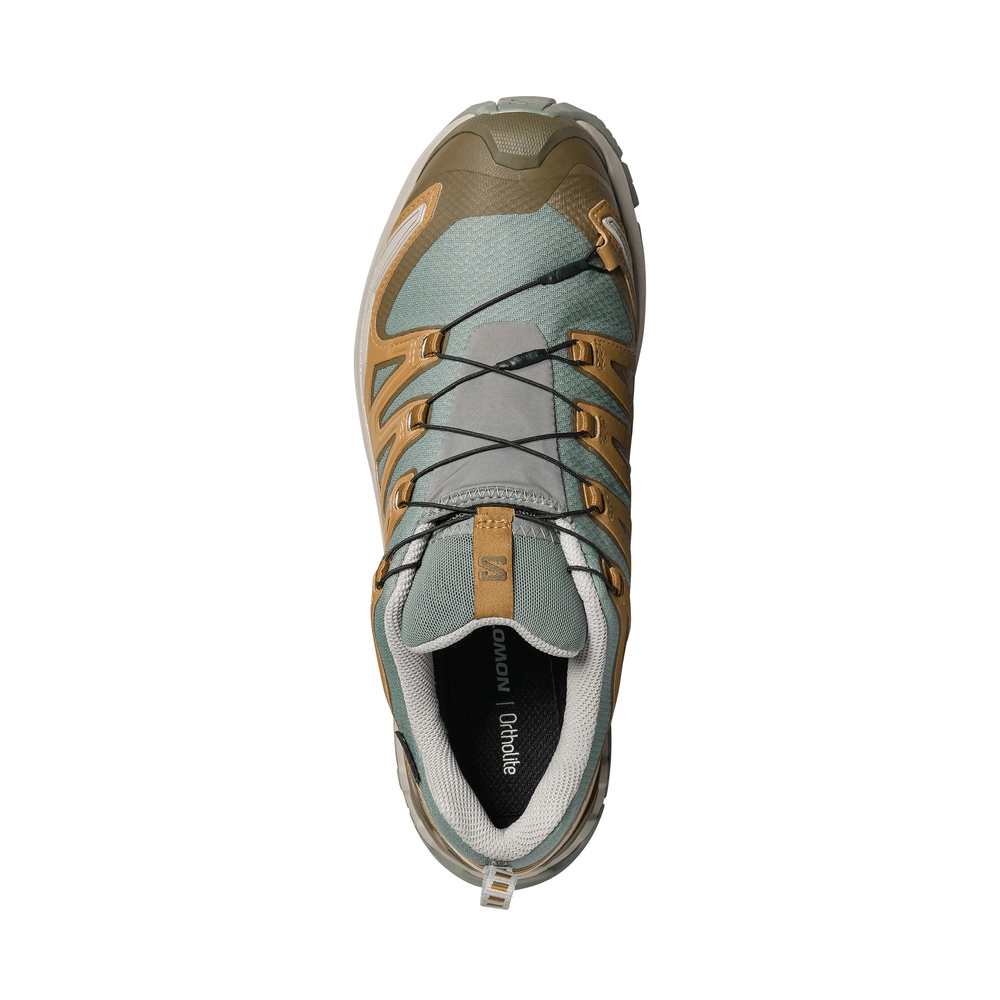 Salomon Xa Pro 3d V9 'Bright Olive' Мужские