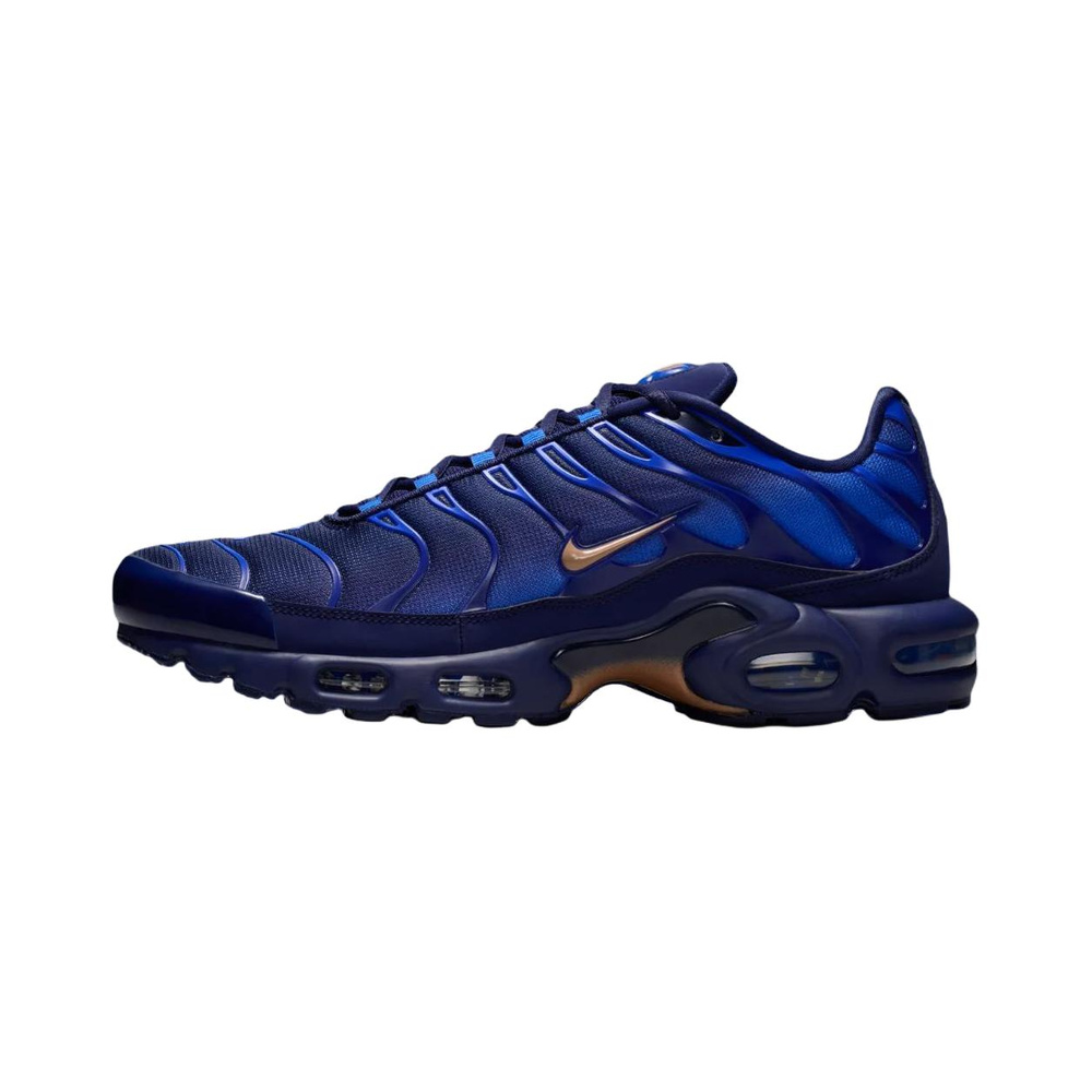 Nike Air Max Plus 'Blackened Blue / Game Royal / Metallic Copper' Мужские