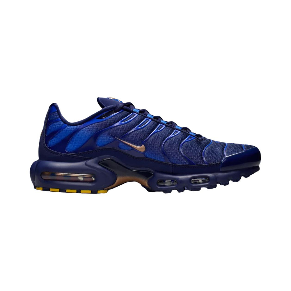 Nike Air Max Plus 'Blackened Blue / Game Royal / Metallic Copper' Мужские