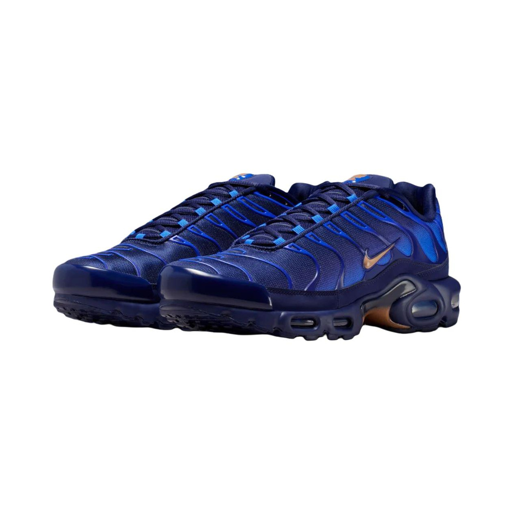 Nike Air Max Plus 'Blackened Blue / Game Royal / Metallic Copper' Мужские