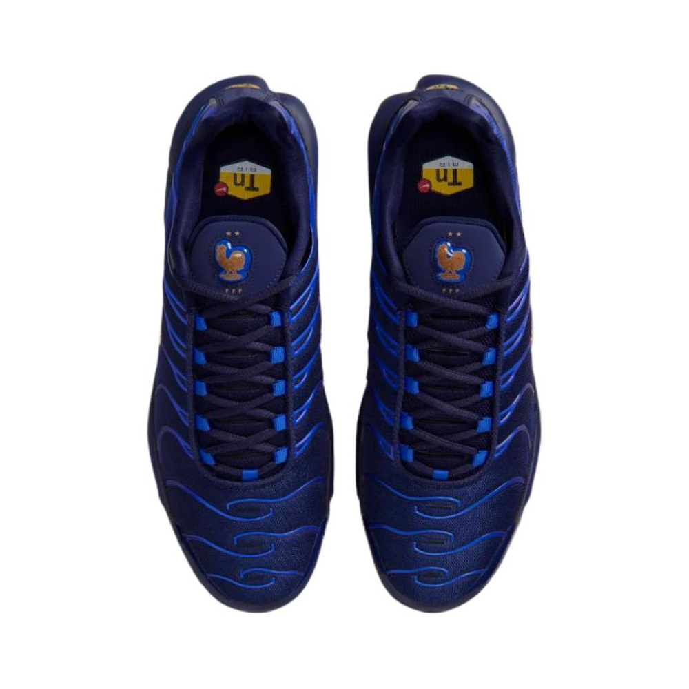 Nike Air Max Plus 'Blackened Blue / Game Royal / Metallic Copper' Мужские