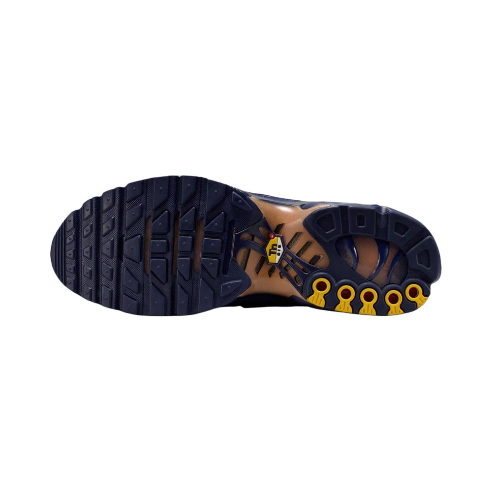 Nike Air Max Plus 'Blackened Blue / Game Royal / Metallic Copper' Мужские