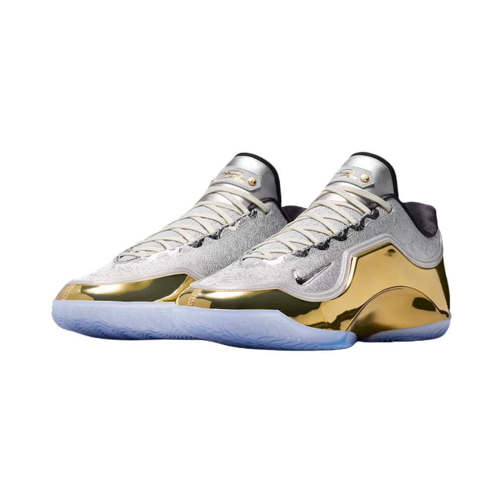 Nike Lebron 23 'Metallic Silver / Dusty Cactus / Black / Multi-Color' Мужские