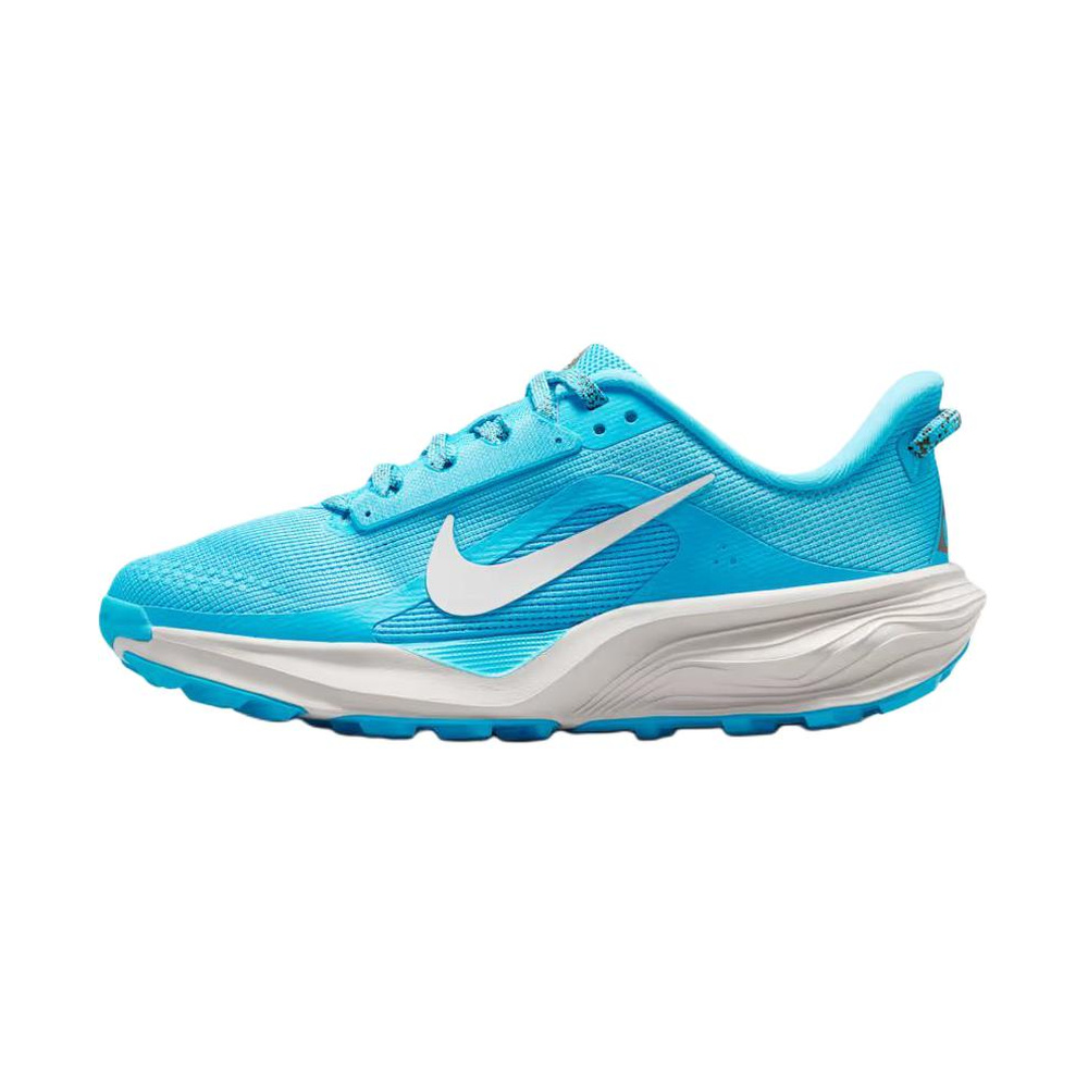 Nike ACG Pegasus Trail 'Baltic Blue / Light Orewood Brown / Ironstone / Summit White' Унисекс