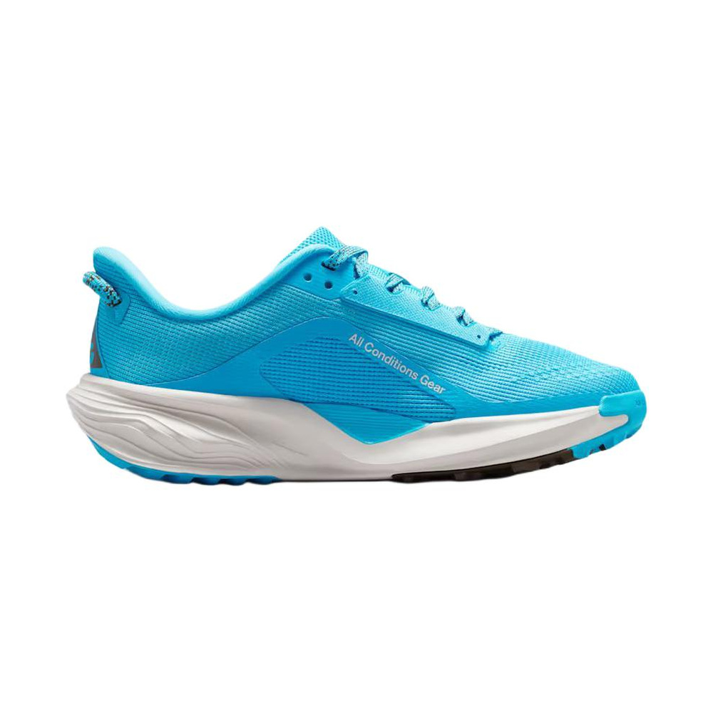 Nike ACG Pegasus Trail 'Baltic Blue / Light Orewood Brown / Ironstone / Summit White' Унисекс