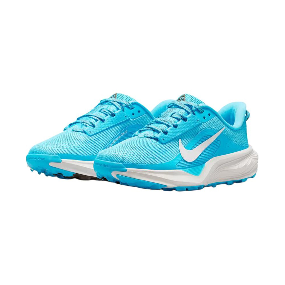 Nike ACG Pegasus Trail 'Baltic Blue / Light Orewood Brown / Ironstone / Summit White' Унисекс