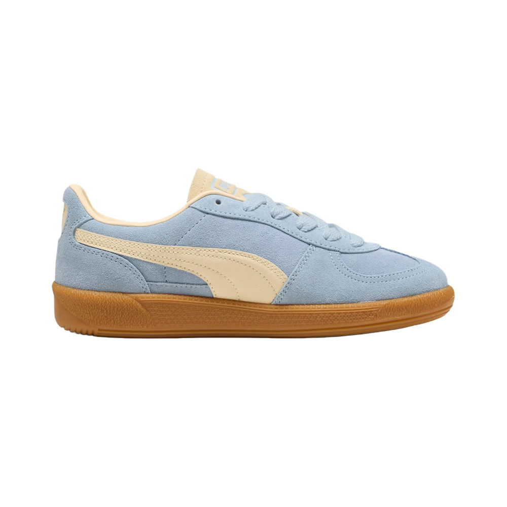 Puma Palermo 'Multicolor' Мужские