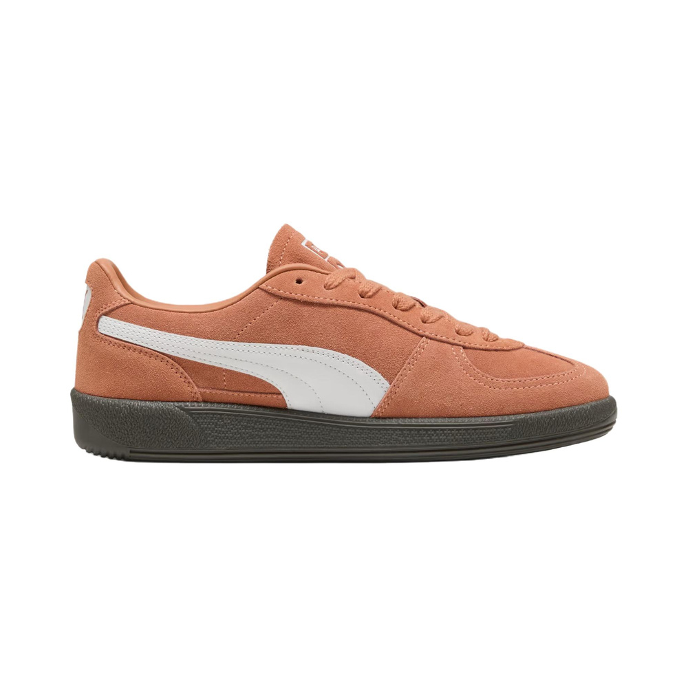 Puma Palermo 'Multicolor' Мужские