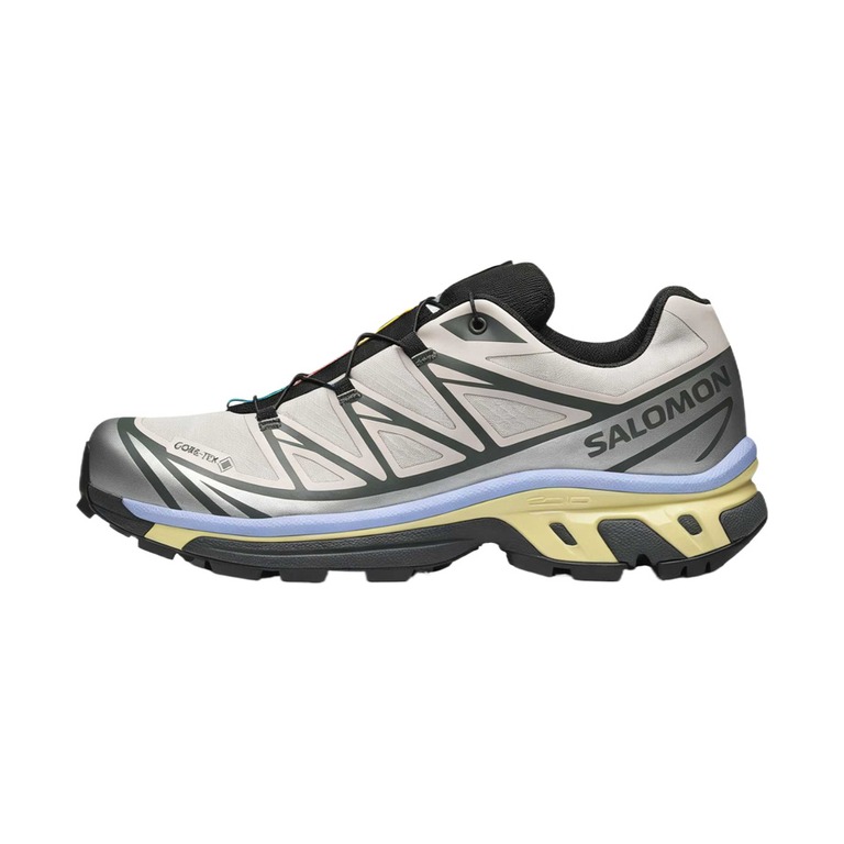Salomon XT-6 'Silver Cloud / Urban / Green' Мужские
