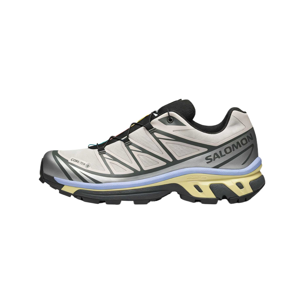 Salomon XT-6 'Silver Cloud / Urban / Green' Мужские