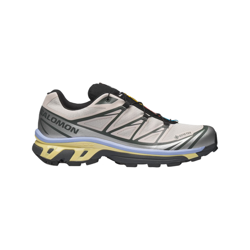 Salomon XT-6 'Silver Cloud / Urban / Green' Мужские