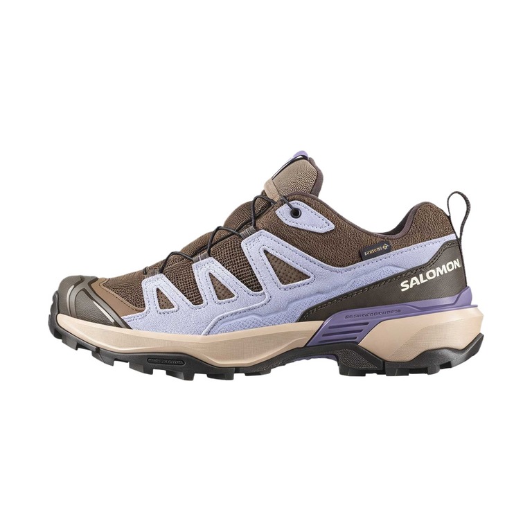 Salomon X Ultra 360 GTX 'Multicolor' Женские