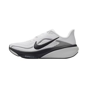 Nike Pegasus 42 'Sea Glass / Light Silver / Barely Green / Metallic Silver' Женские беговые кроссовки