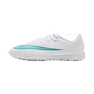 White / Dusty Cactus