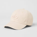 Sand Dollar